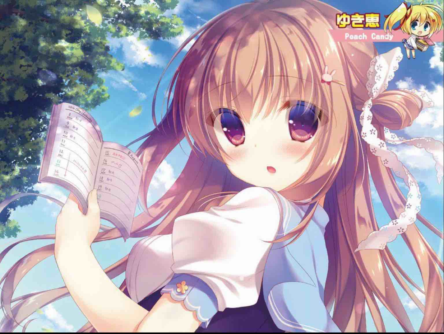 嘉薏公主