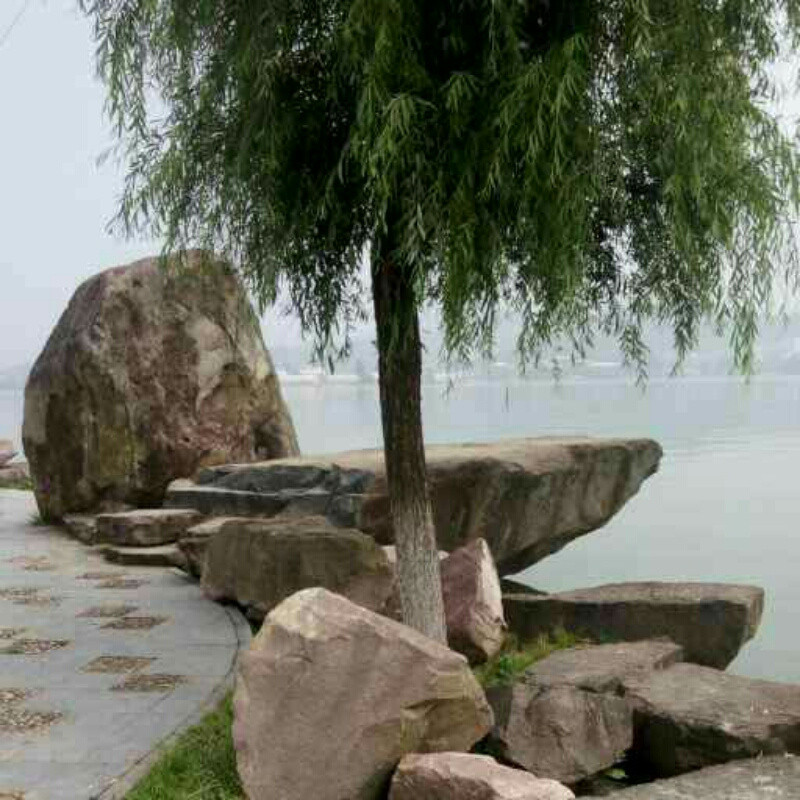 难得糊涂