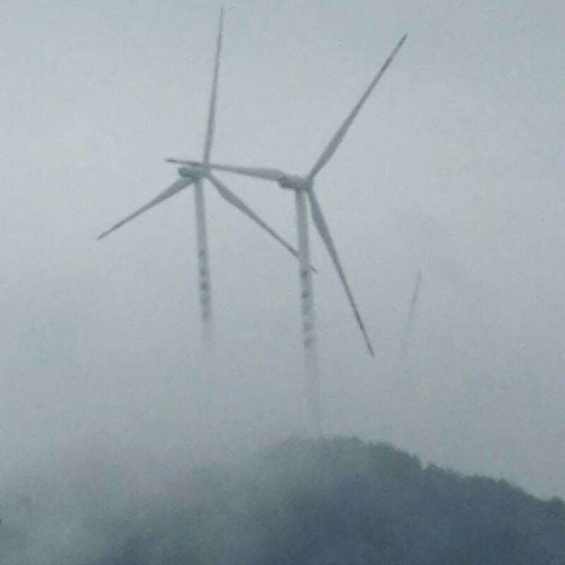 成木