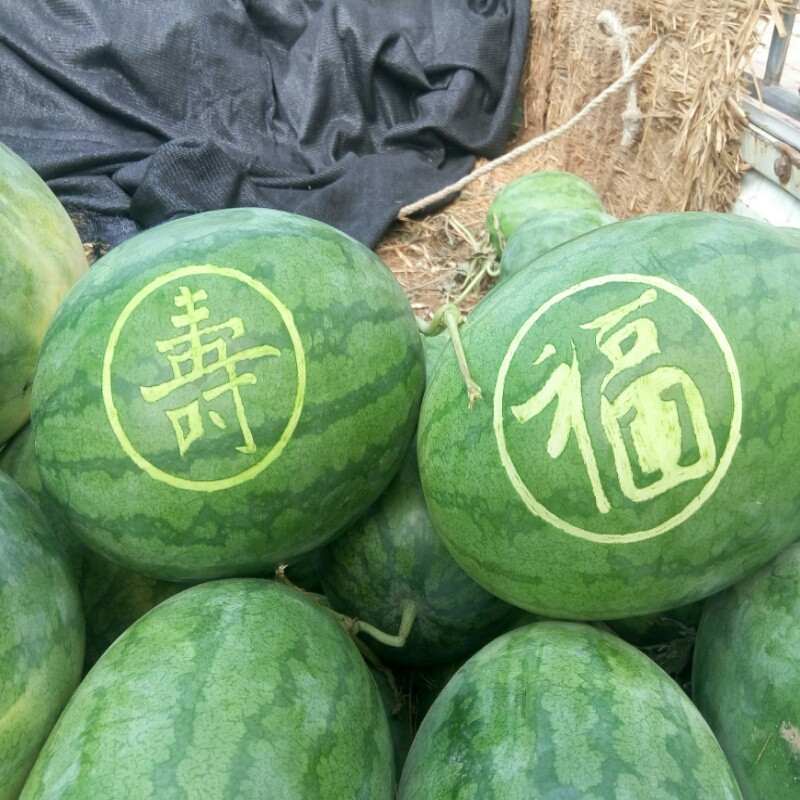 土坷垃