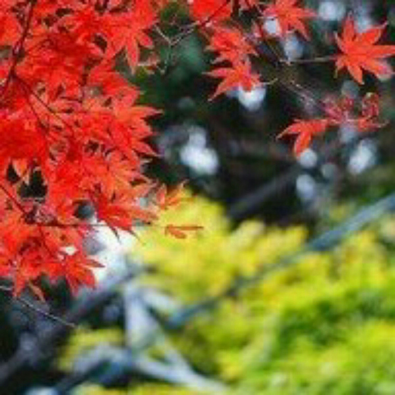 途安知行