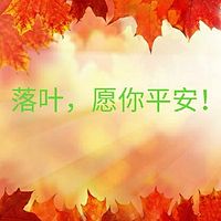 落叶，愿你平安