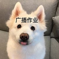 广播作业
