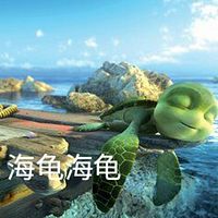海龟海龟