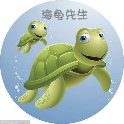 海龟先生