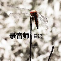 录音师日记