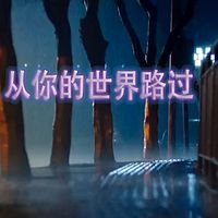 从你的世界路过