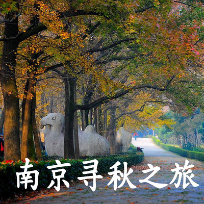 南京寻秋之旅