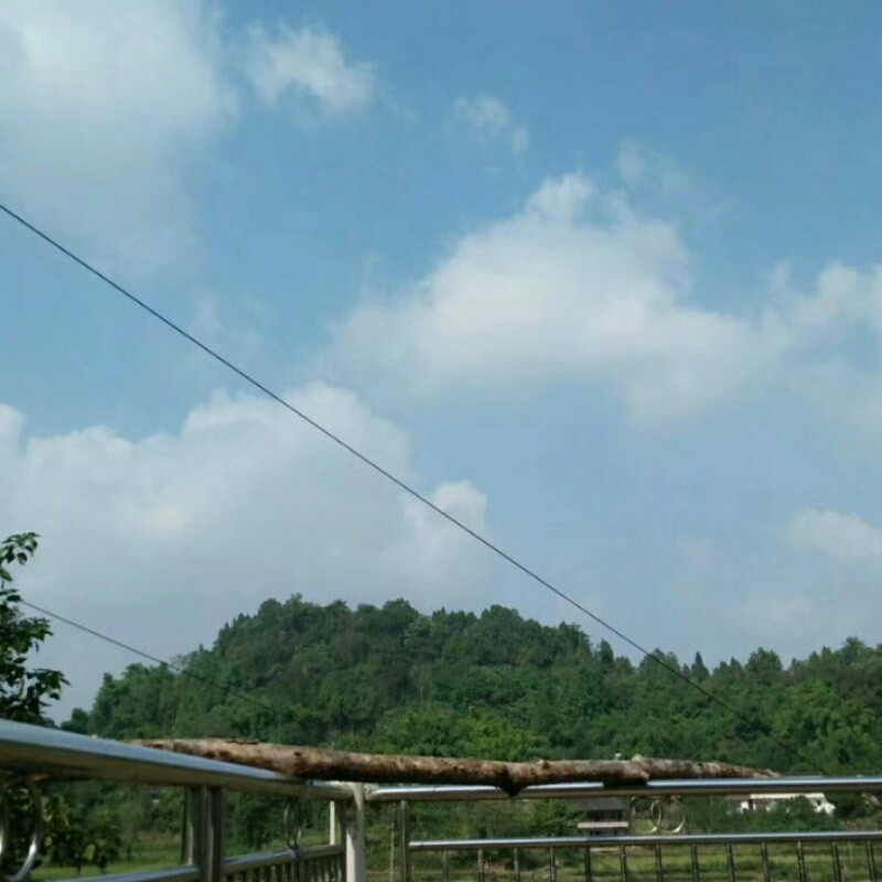 小波
