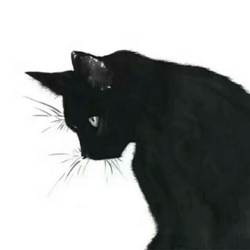 你诺从小很听话
