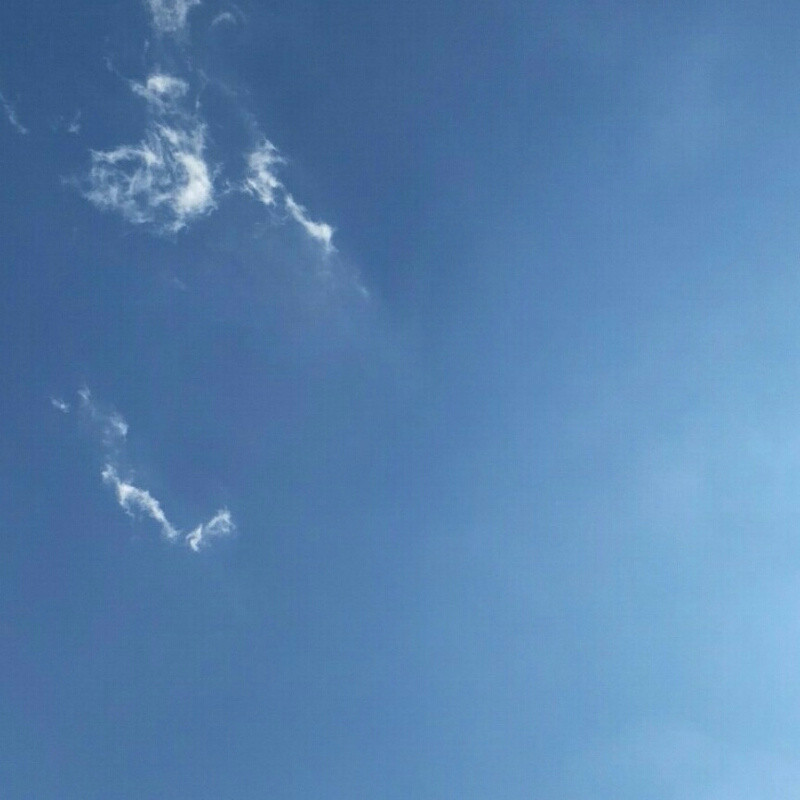 你大爷的