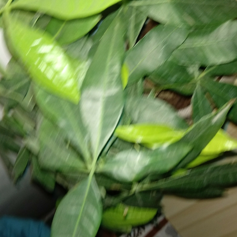 温馨