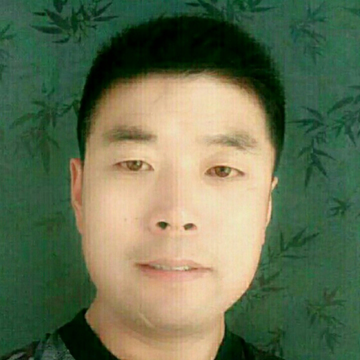 盟哥马力