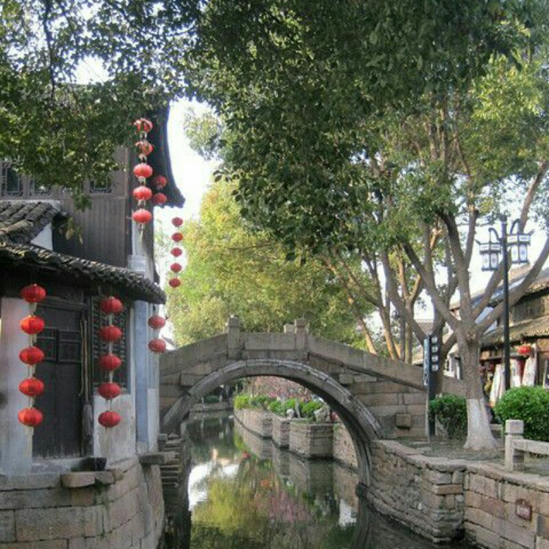 无味白开水
