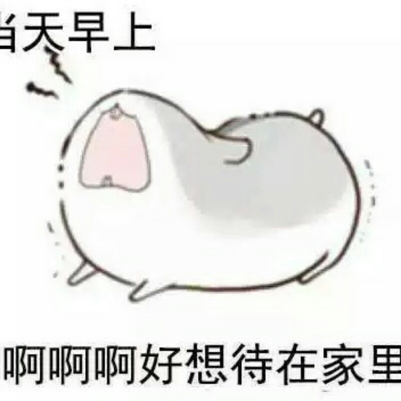 书书我好气