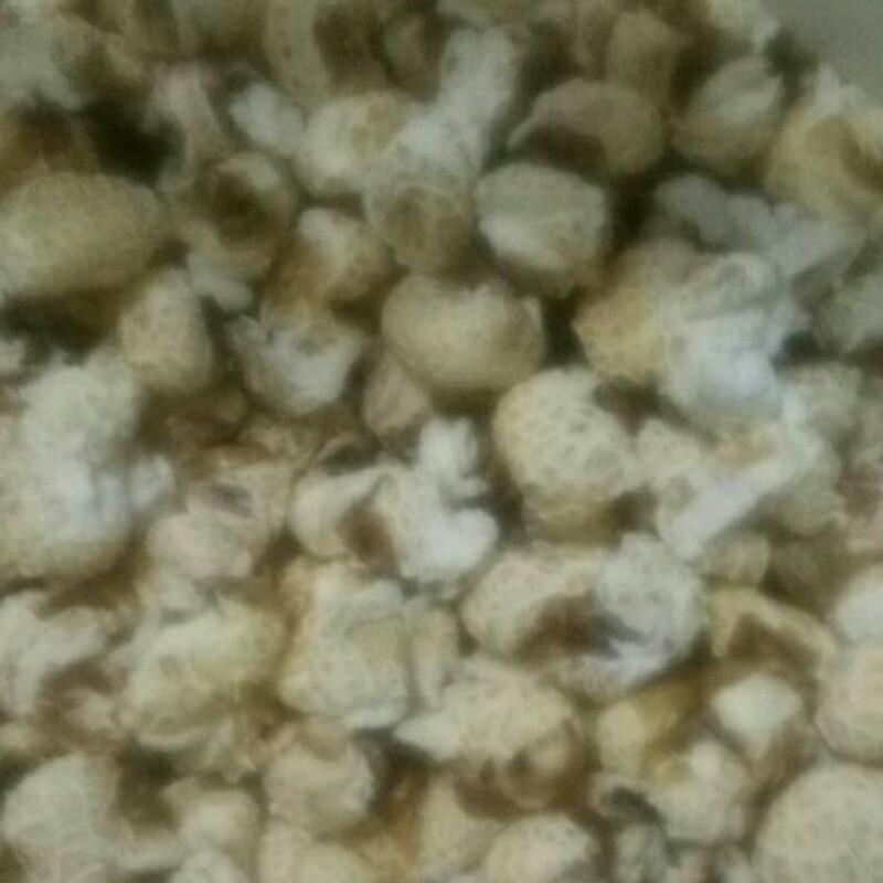 娄玲