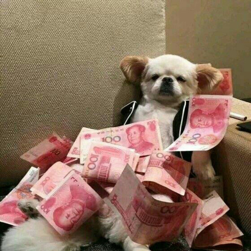 猫小慧