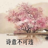 诗意不可违