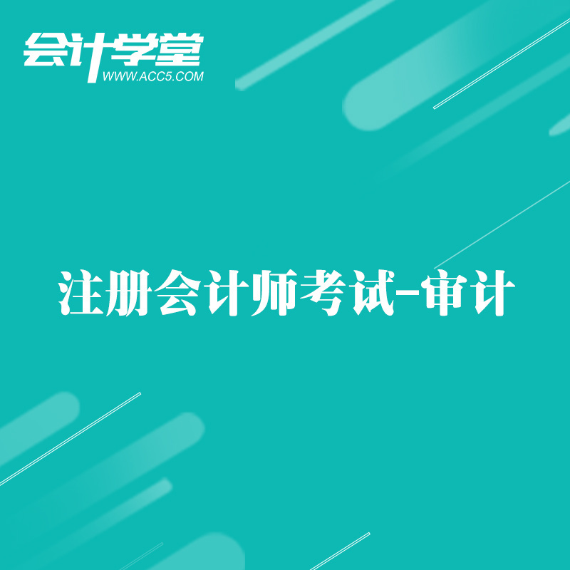 注册会计师——内部审计培训教程