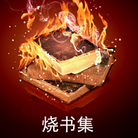 烧书集