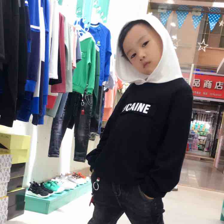 鸿鸿