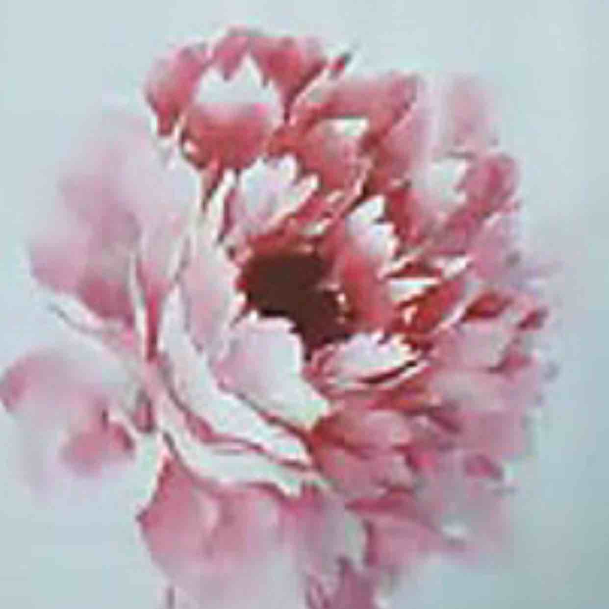 从容