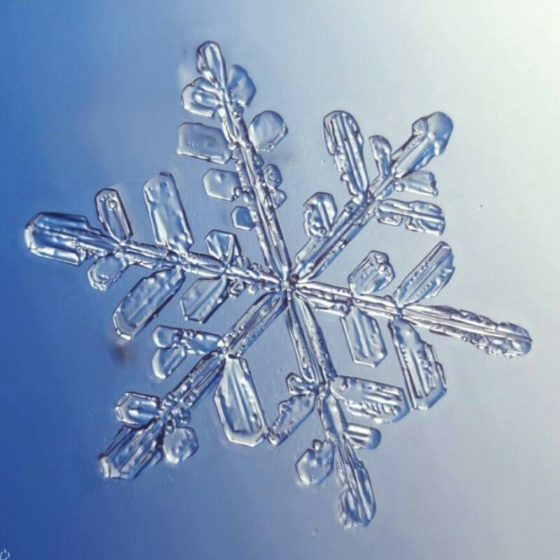飘❄