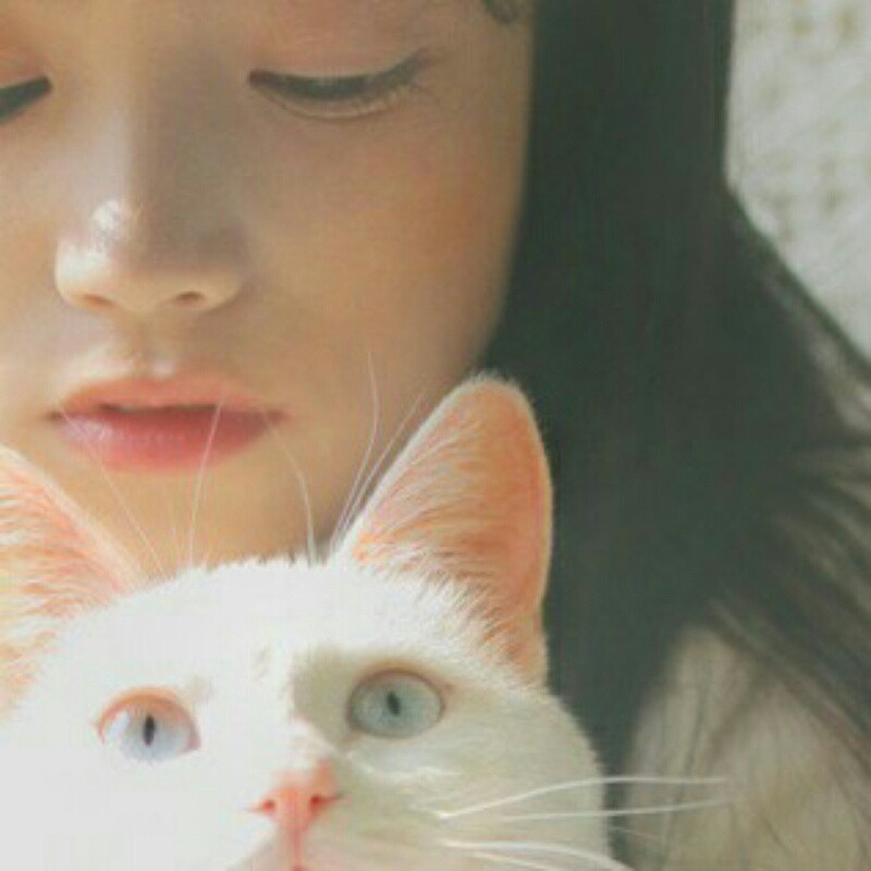 猫官人