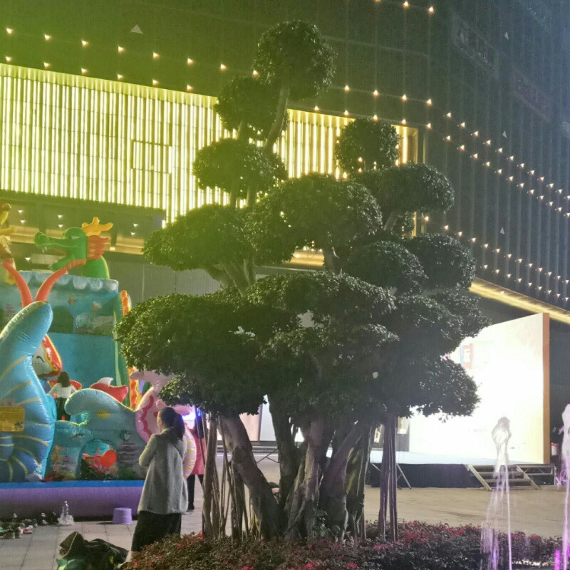 幽幽我心