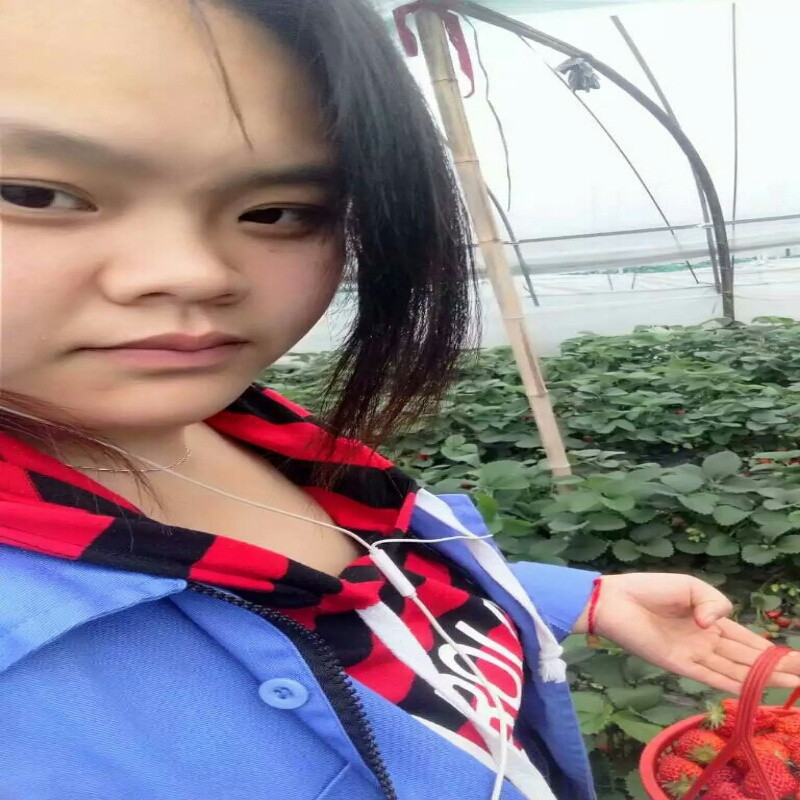 艳艳姐