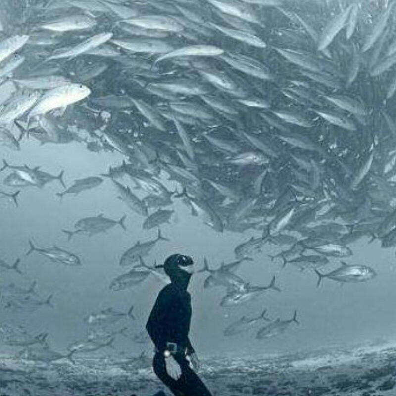 流焱