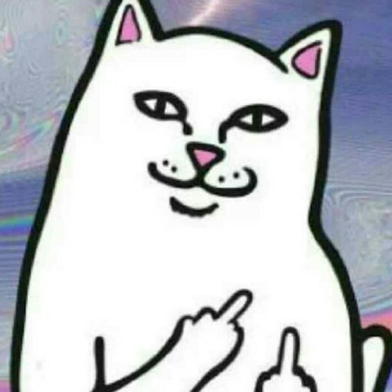 竖中指的猫_