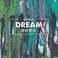 西瓜君的奇妙梦语