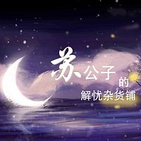 苏公子的解忧杂货铺