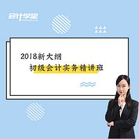 2018初级会计职称-会计实务