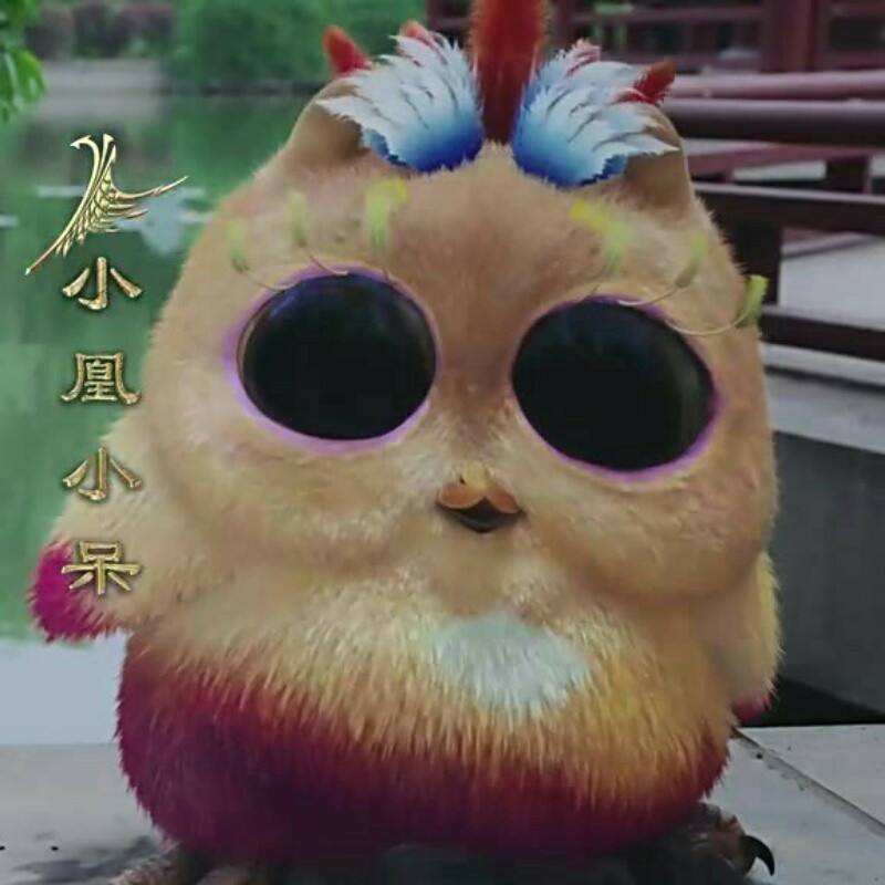 1小龍哥1