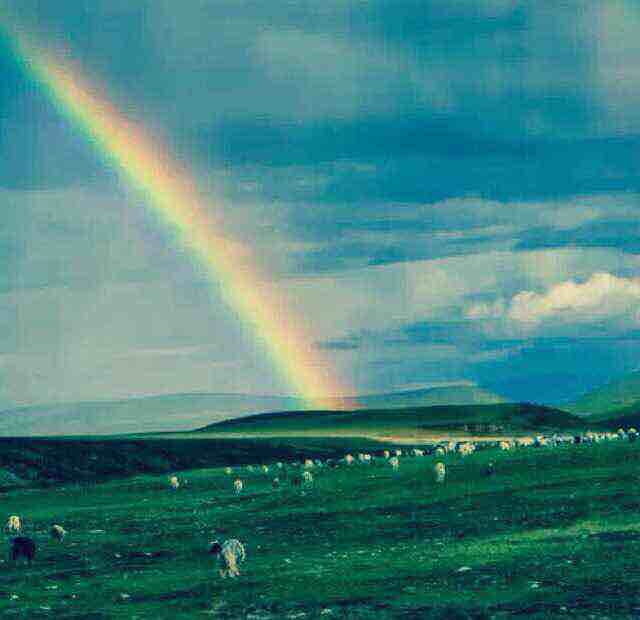 rainbow