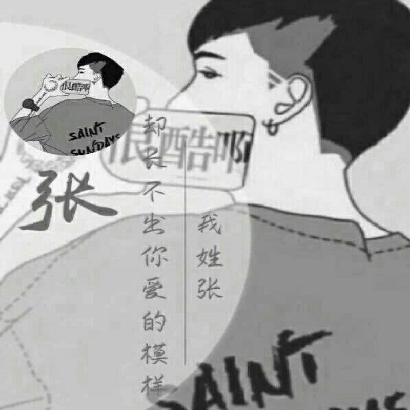 zhang (z c z )