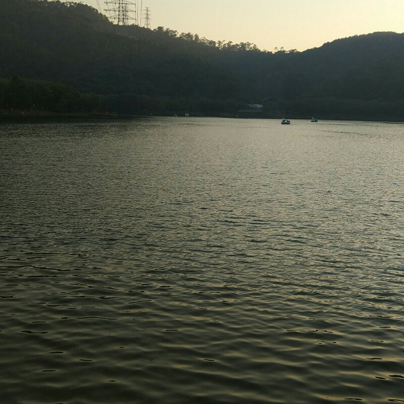无与伦比的ai