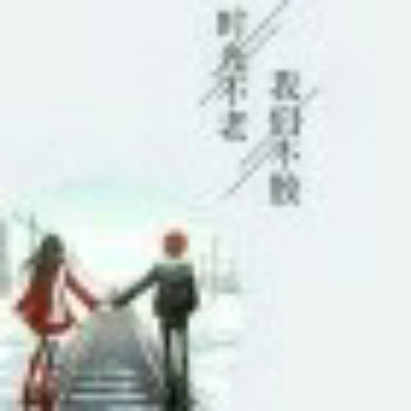 阳光明媚