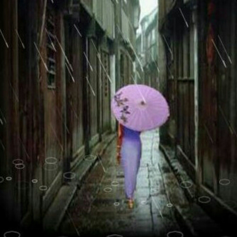 电脑老师