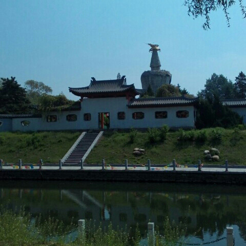 鸿雁
