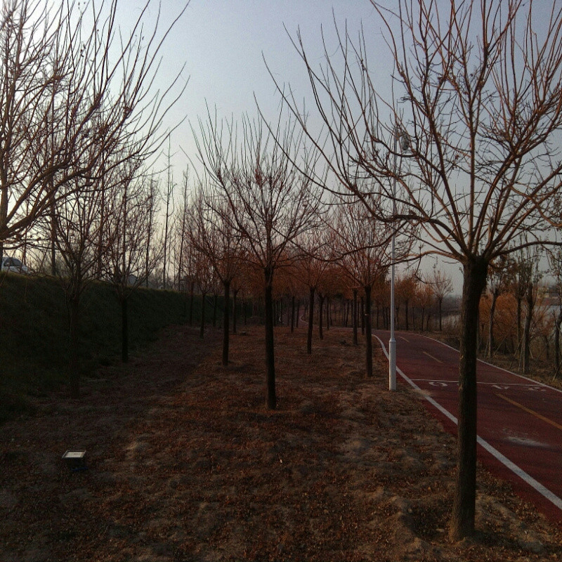 水月云天