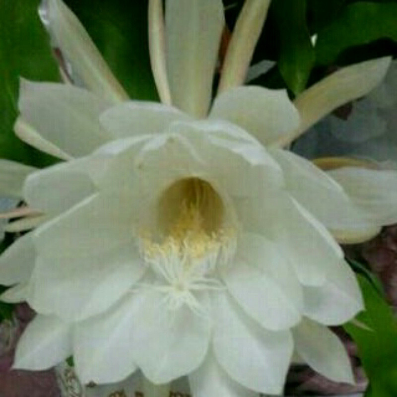 悠悠