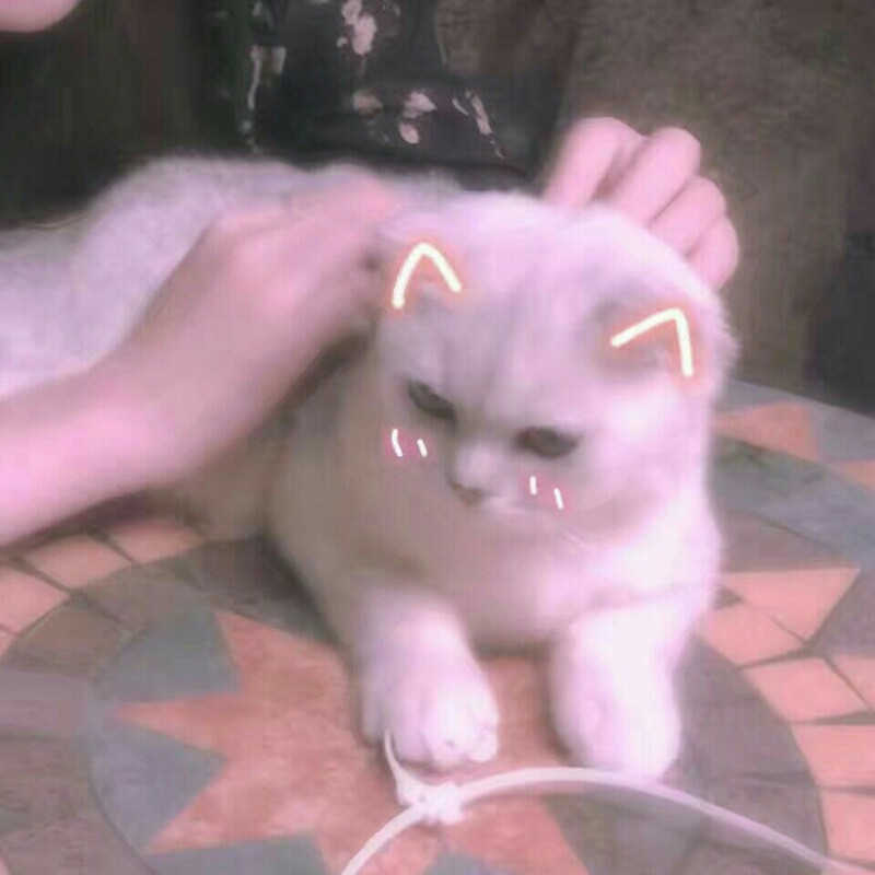 橙熟妹儿