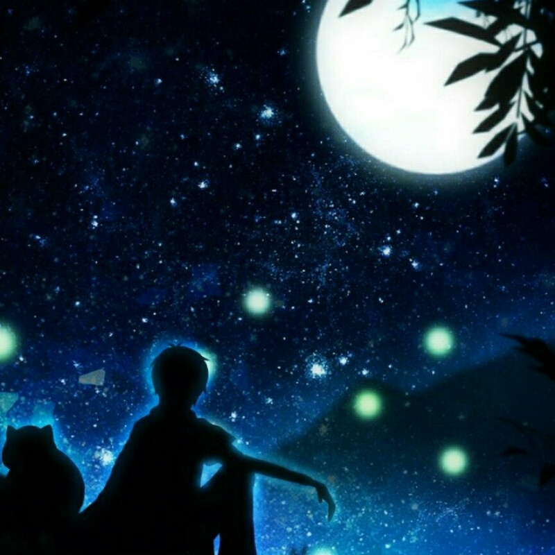 星夜逐月