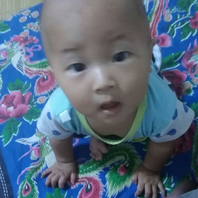 贾