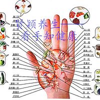 贤颖养生——看手知健康