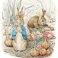 布鲁童音—坏兔子的故事