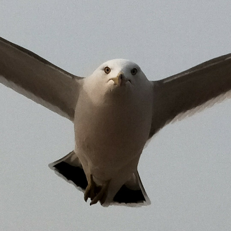 闫宁